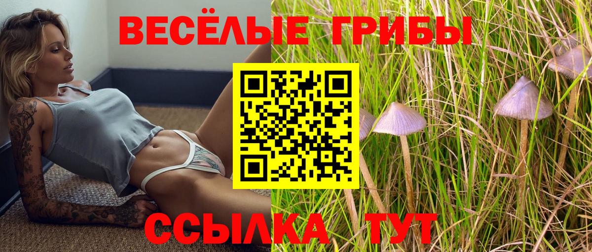 Галлюциногенные грибы прущие грибы Братск