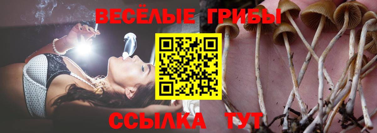 Псилоцибиновые грибы ЛСД  Галлюциногенные грибы прущие грибы  Вход с VPN  Братск 